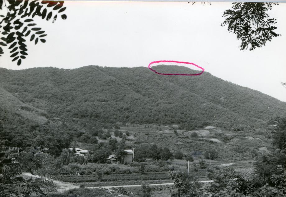 진천 김유신 탄생지와 태실이미지