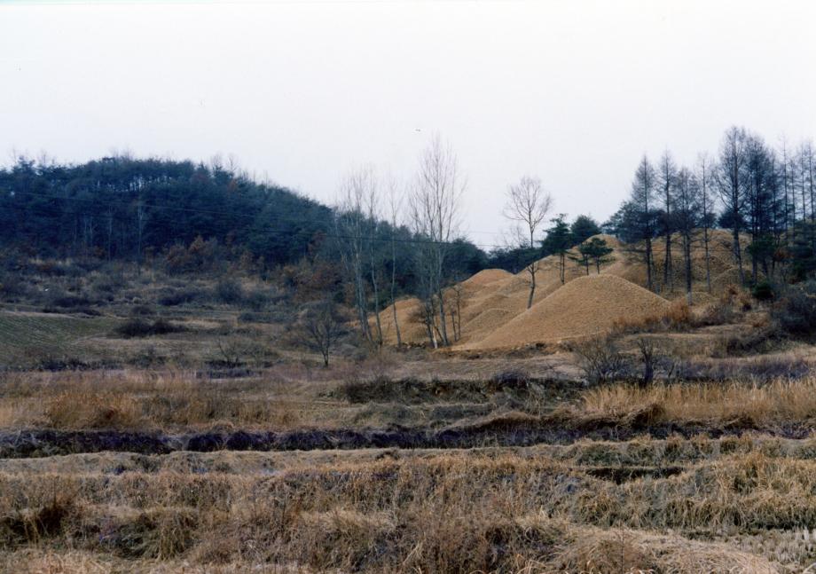 충주 루암리 고분군이미지