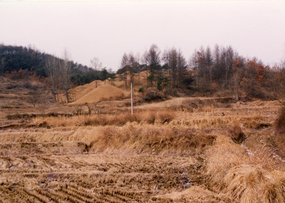 충주 루암리 고분군이미지