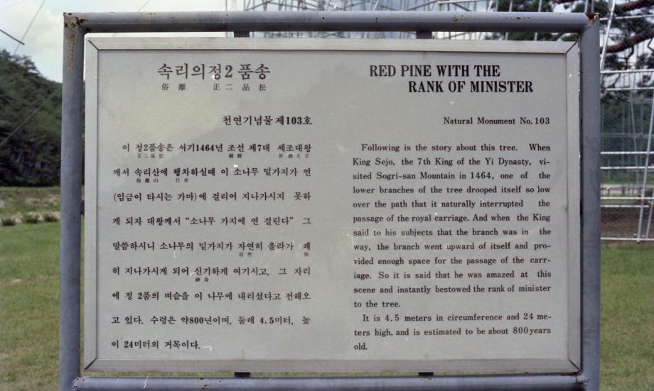 충북 문화재 사진