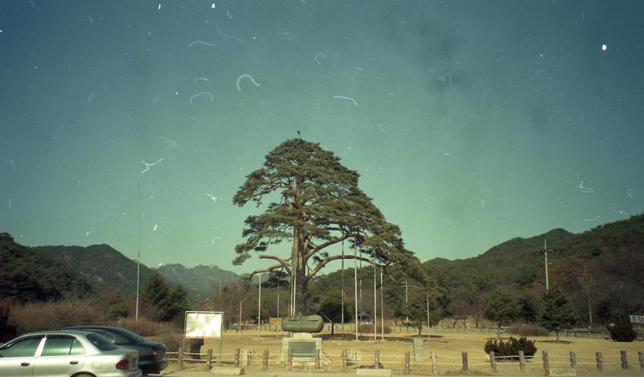 충북 문화재 사진