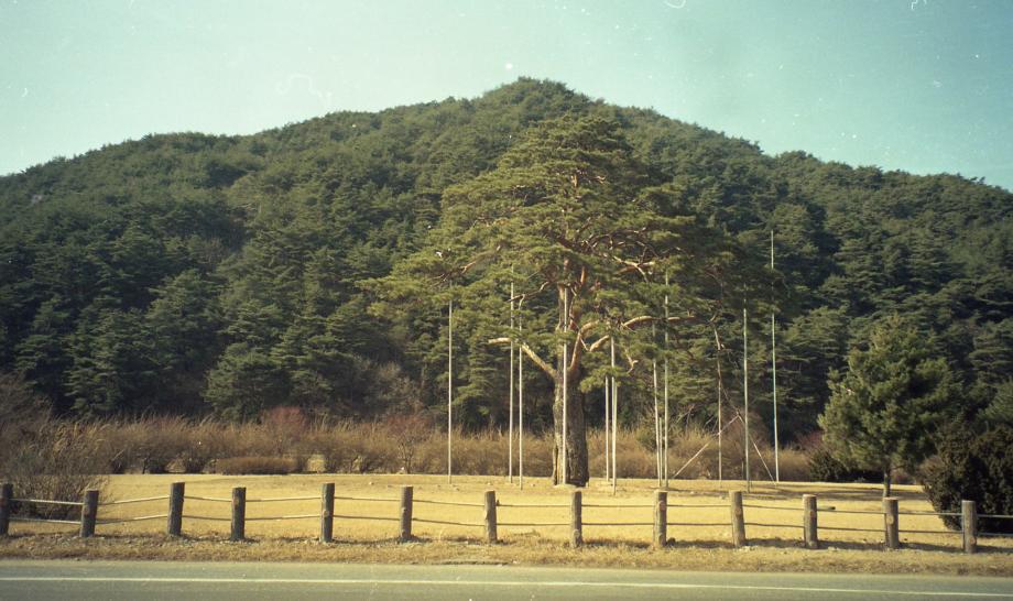 충북 문화재 사진