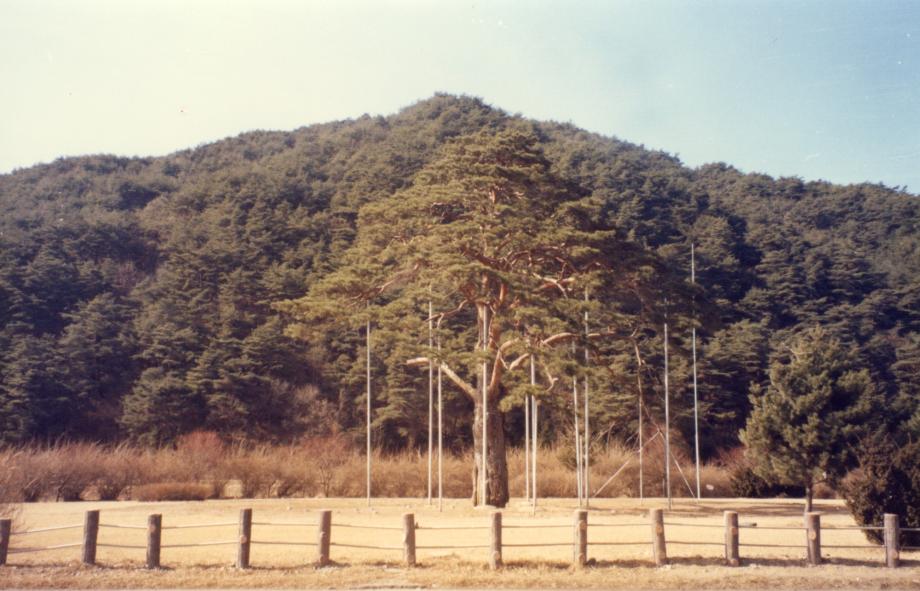 충북 문화재 사진