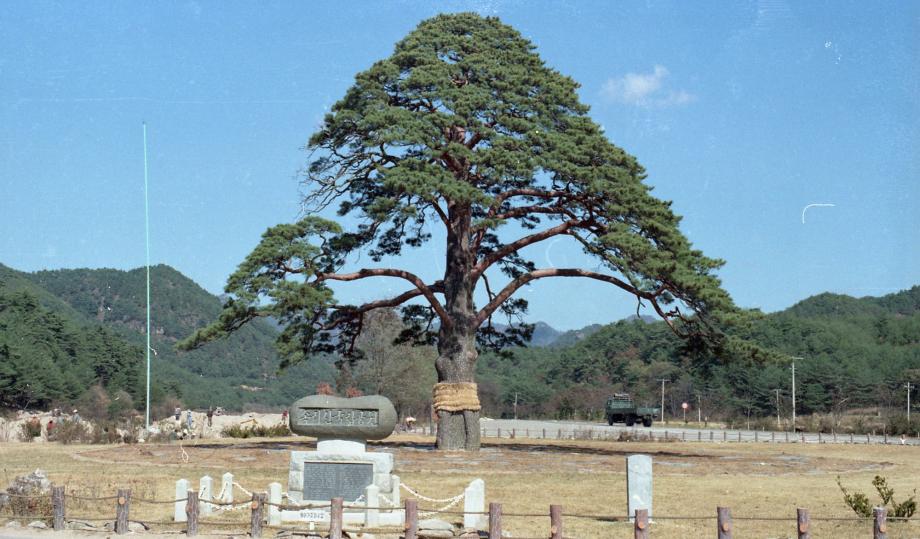 충북 문화재 사진