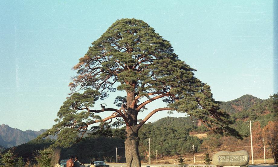충북 문화재 사진
