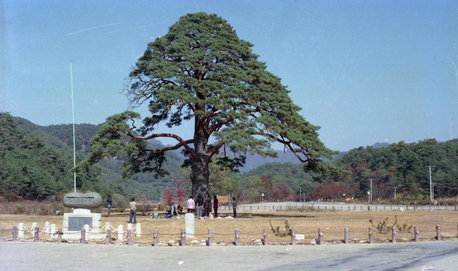 충북 문화재 사진