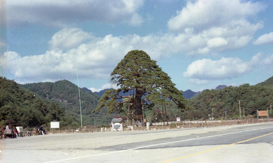 충북 문화재 사진