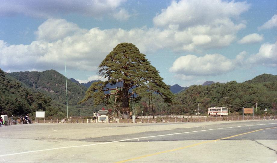 충북 문화재 사진