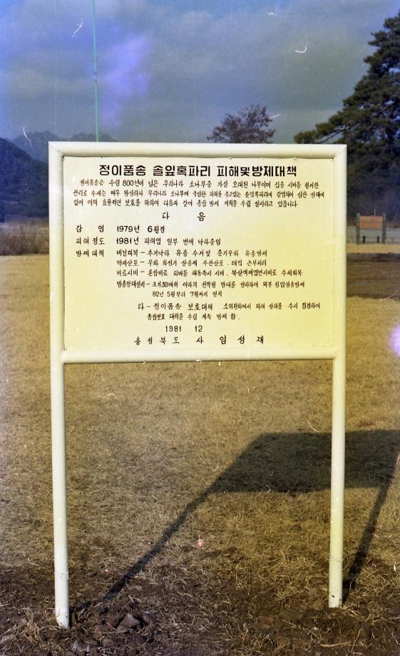 충북 문화재 사진