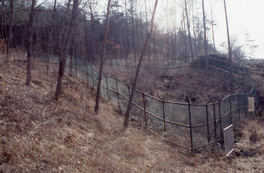 충북 문화재 사진