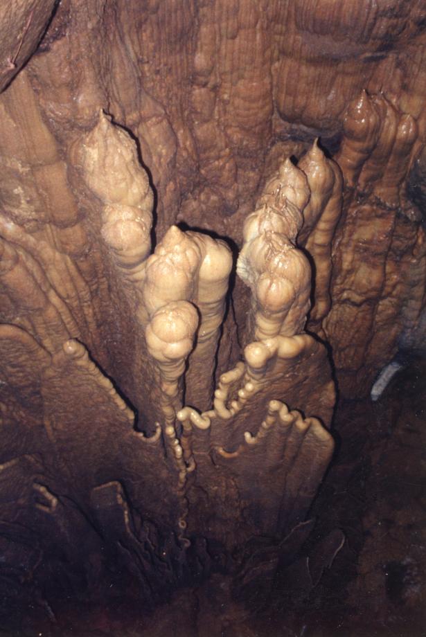 단양 고수동굴이미지