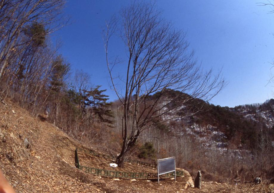 충북 문화재 사진
