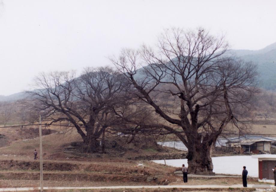 충북 문화재 사진