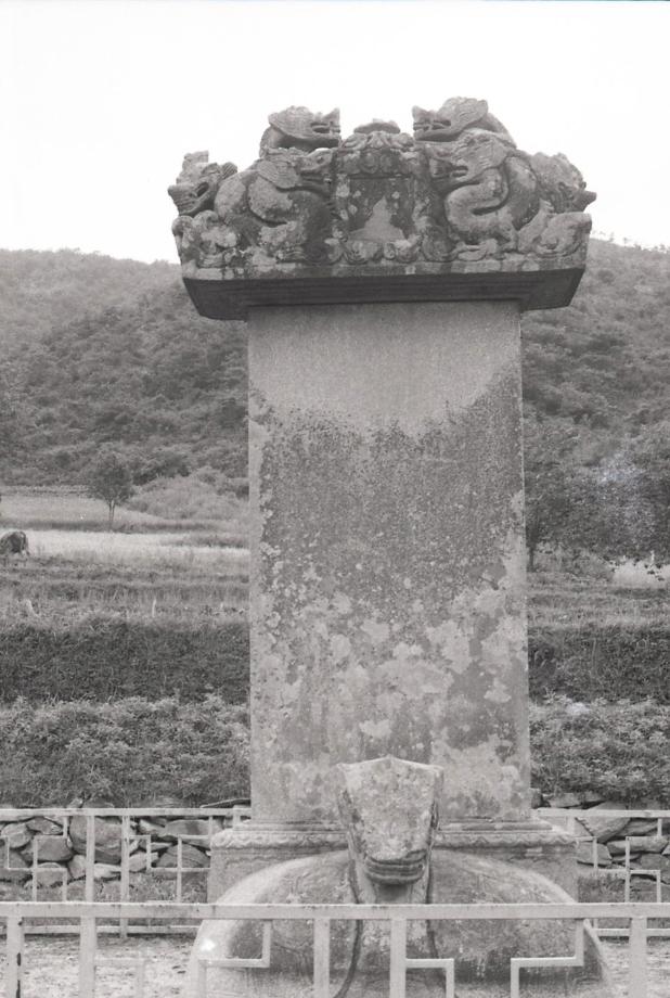 충북 문화재 사진