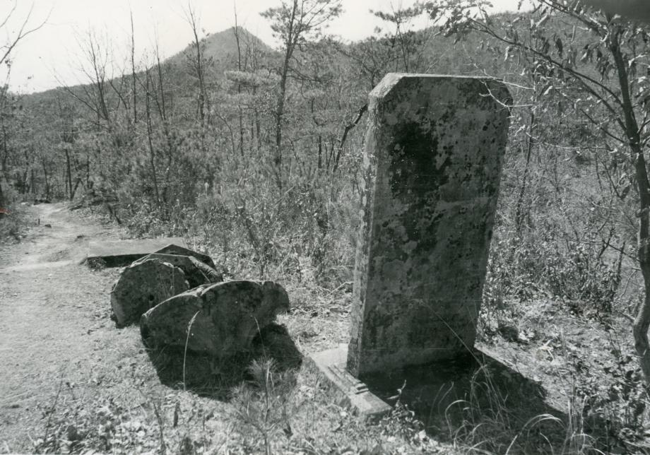 충주 청룡사지 보각국사탑비이미지