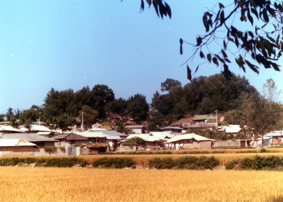 괴산 청안향교이미지