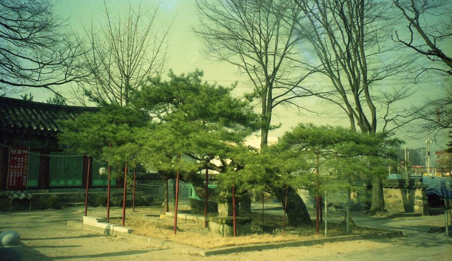충주 단호사 삼층석탑이미지