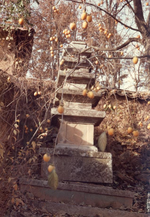충주 창동리 오층석탑이미지