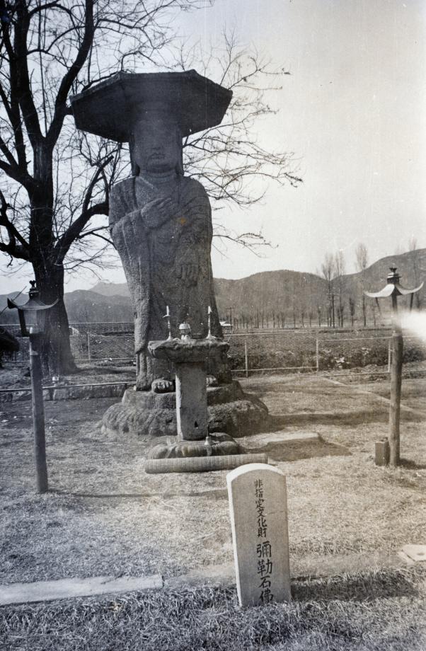 충주 원평리 석조여래입상이미지