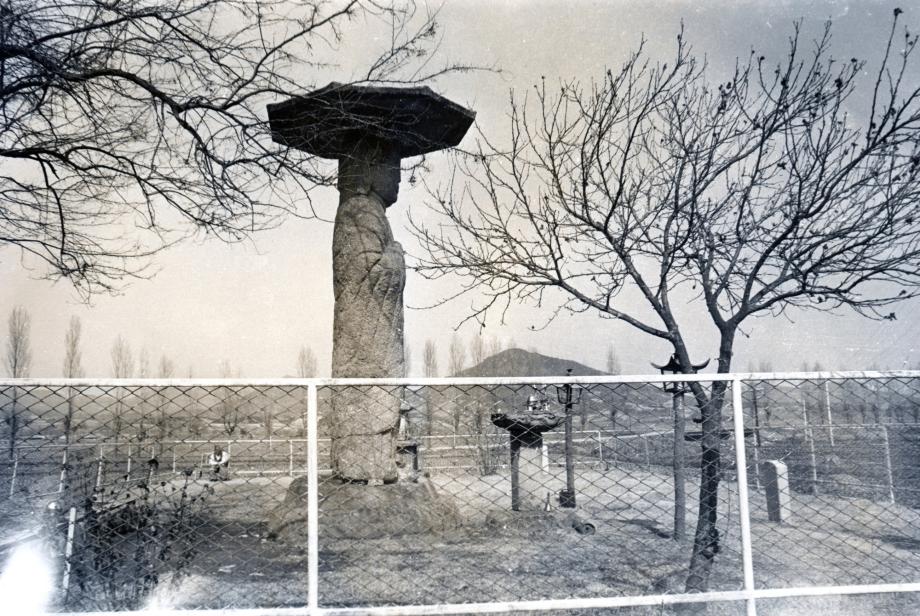 충주 원평리 석조여래입상이미지