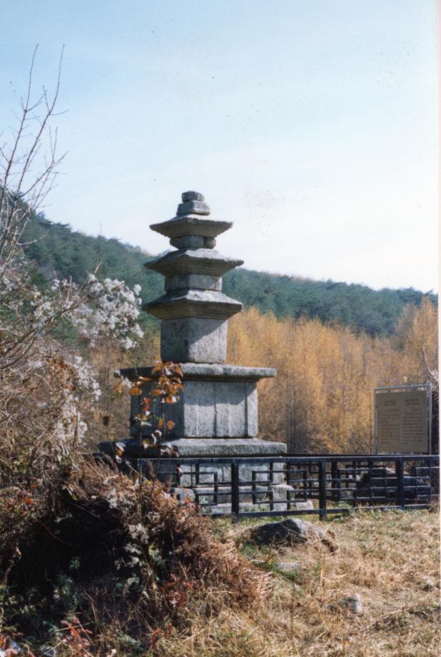충주 미륵대원지 삼층석탑이미지