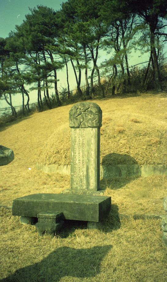 충주 이수일 묘소이미지
