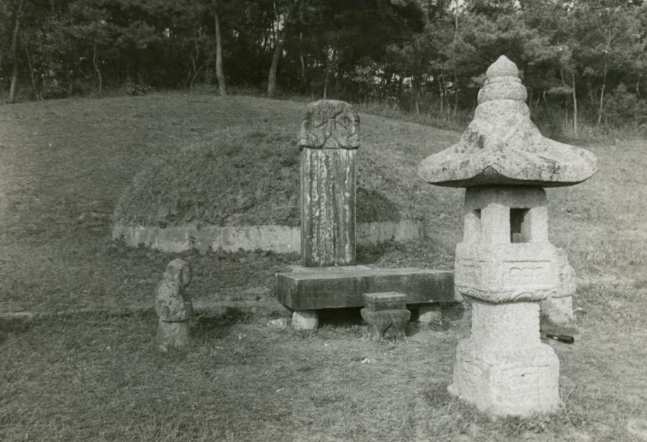 충주 이수일 묘소이미지