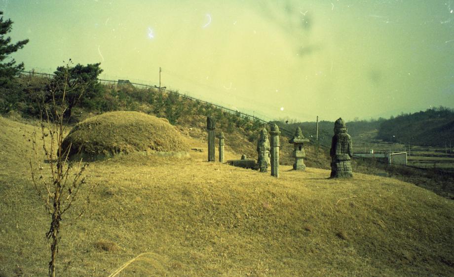 충주 이수일 묘소이미지