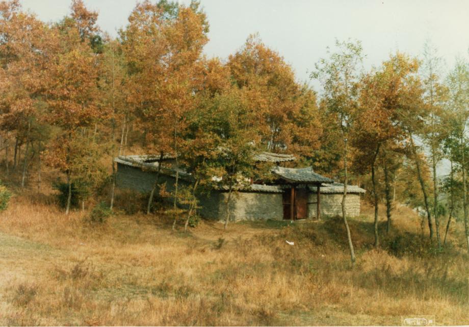 충주 이수일 묘소이미지