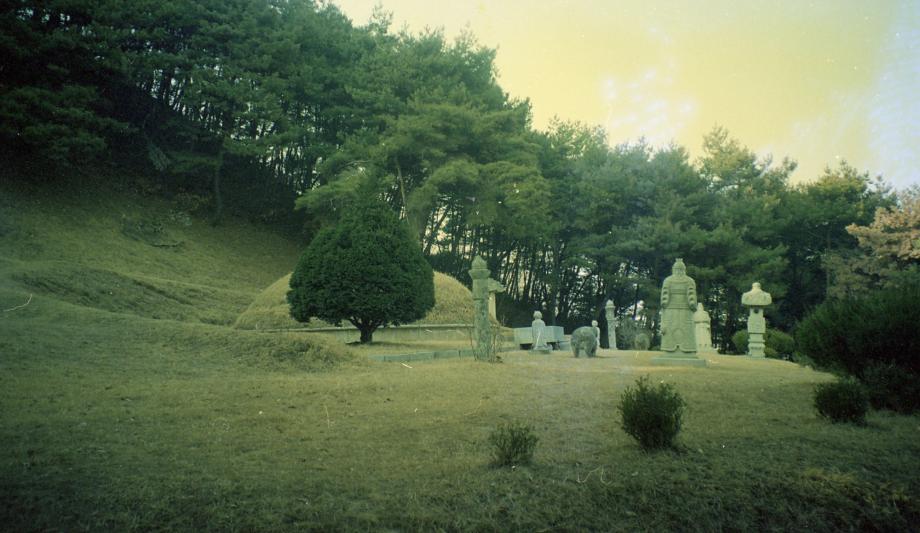 충주 임경업 묘소이미지