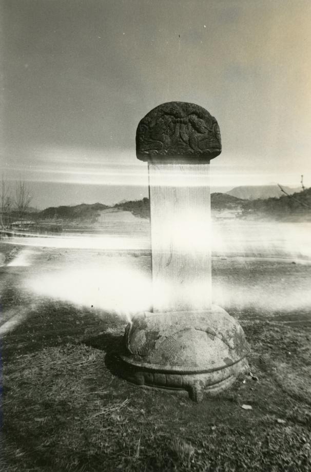 충주 이수일 신도비이미지