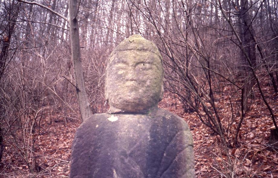 충주 강천리 석조여래입상이미지