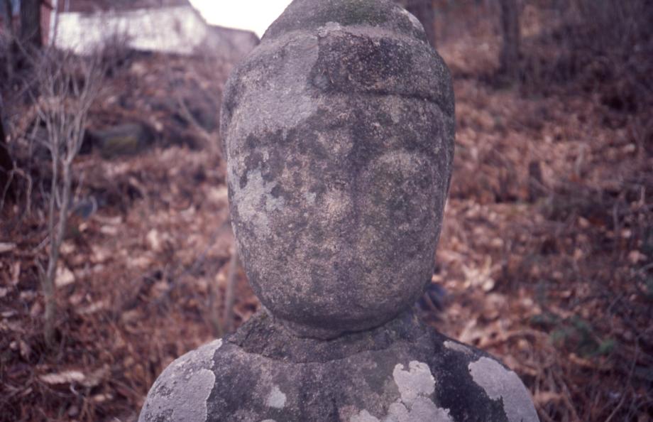 충주 봉불사 석조약사여래입상이미지