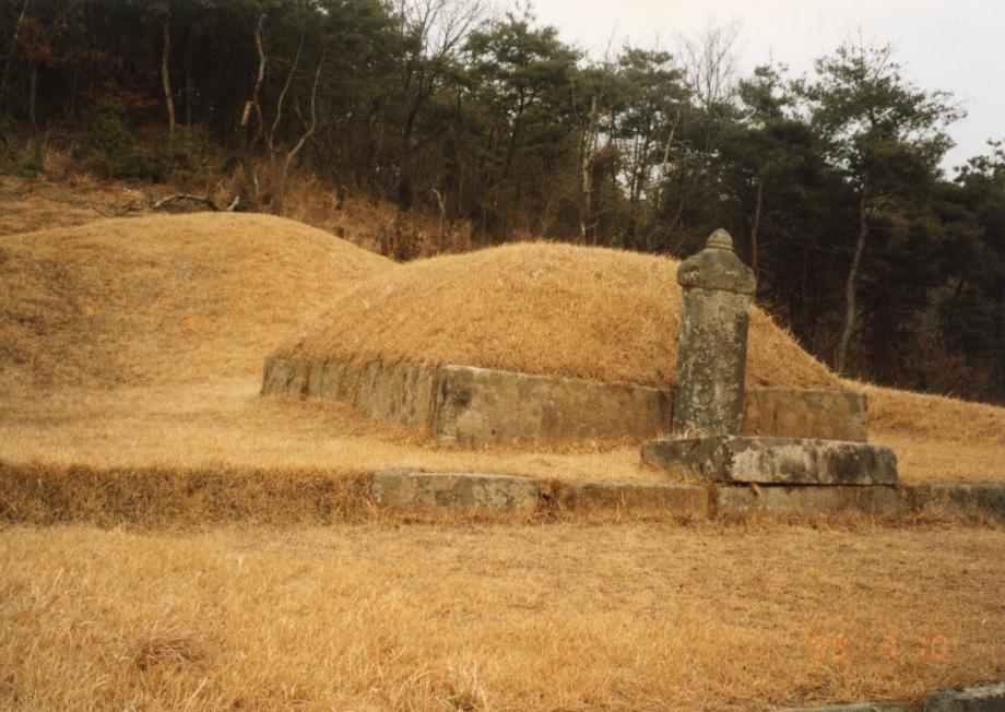 음성 경녕군 부인 김씨 묘소이미지