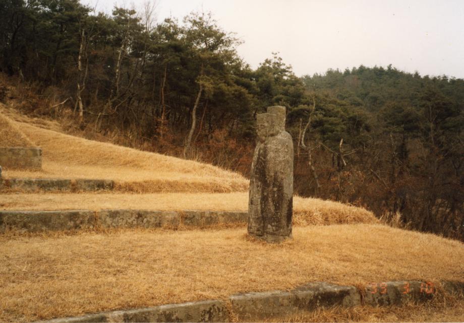 음성 경녕군 부인 김씨 묘소이미지