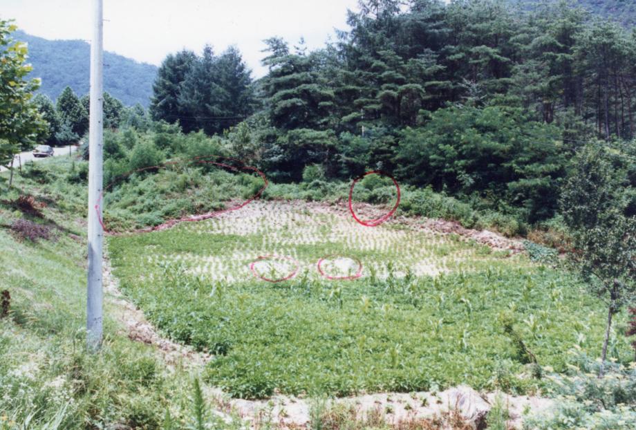 충주 미륵리 요지이미지