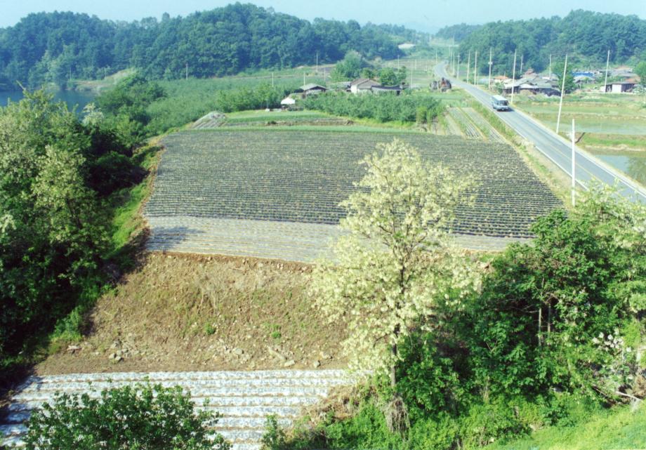 충주 김생사지이미지