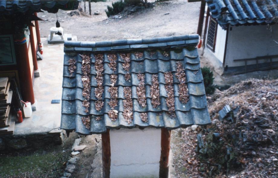 충북 문화재 사진