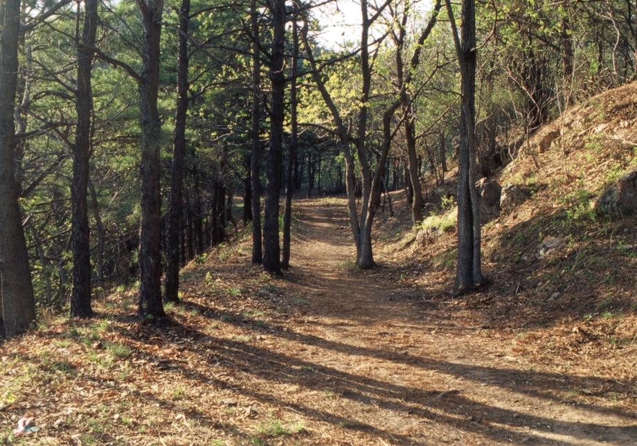 청주 양성산성이미지