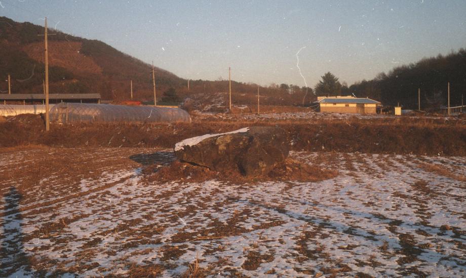 충주 신청리 고인돌이미지