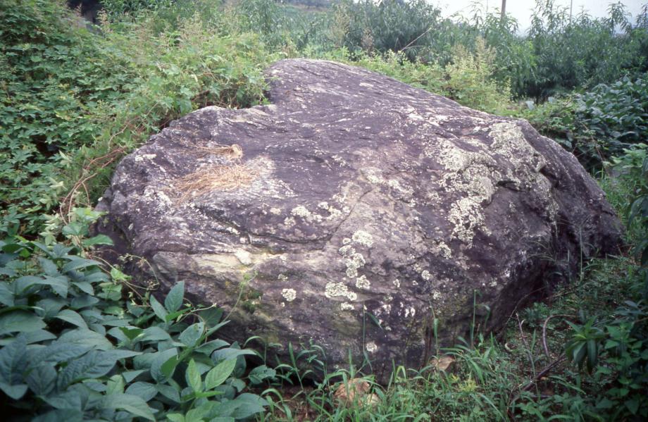 충주 신청리 고인돌이미지