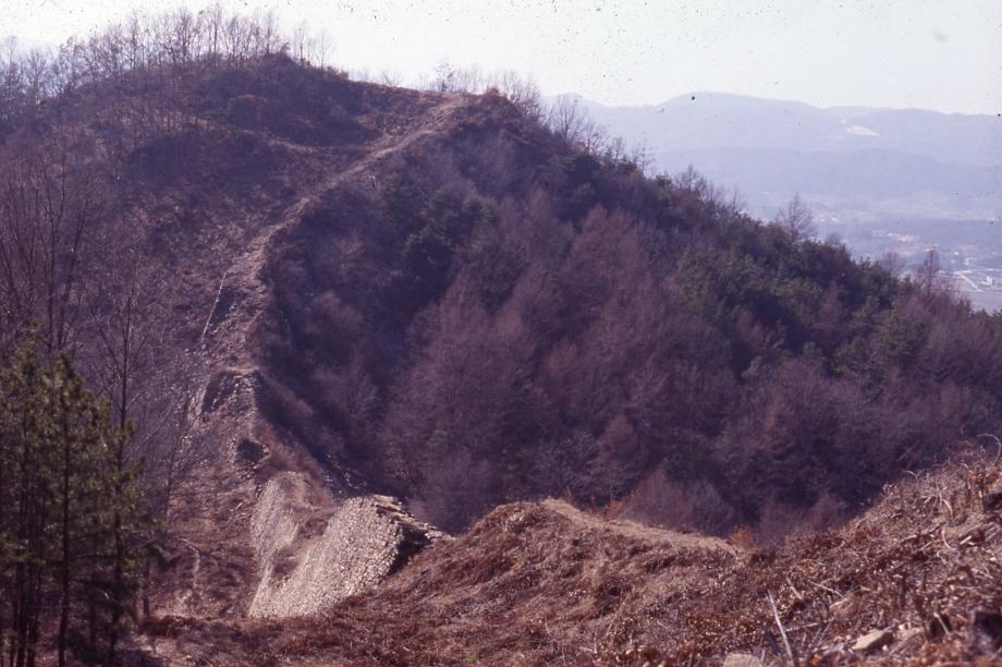 보은 삼년산성이미지