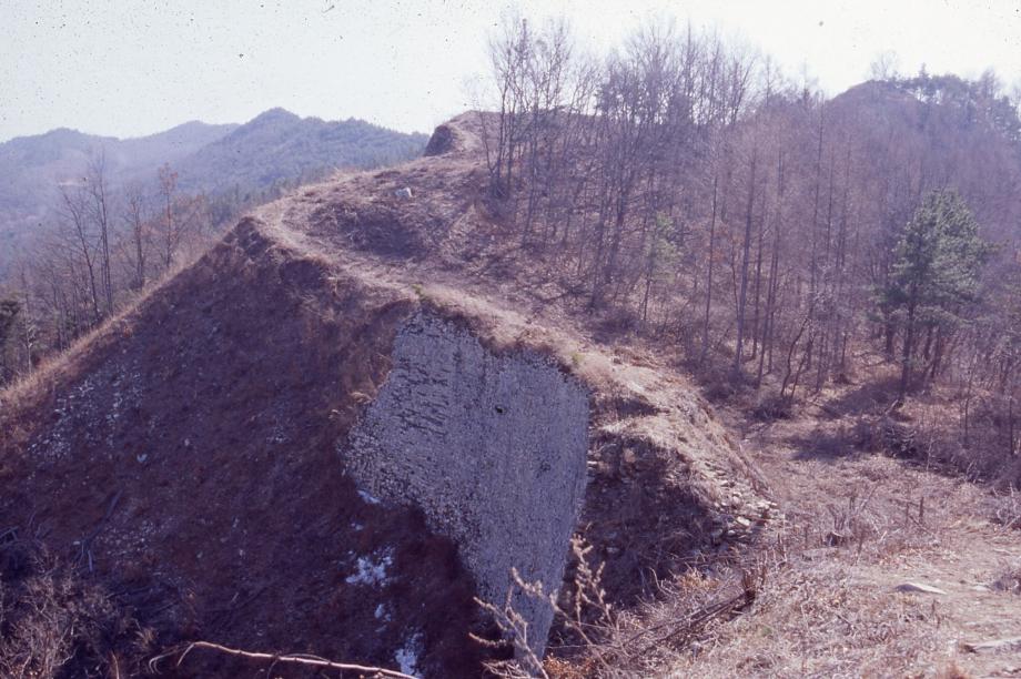 보은 삼년산성이미지