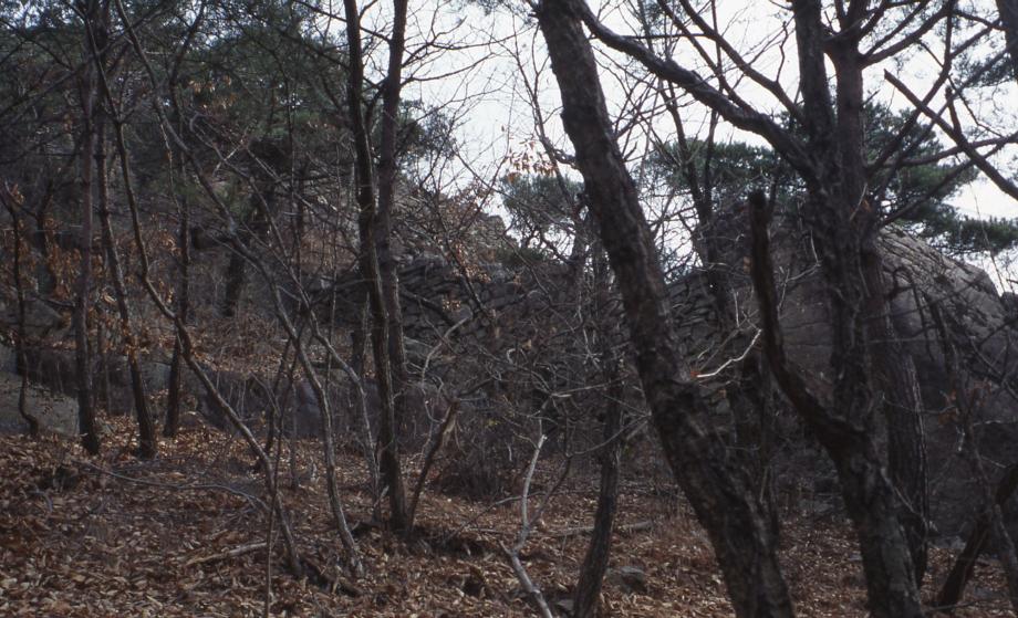 괴산 미륵산성이미지