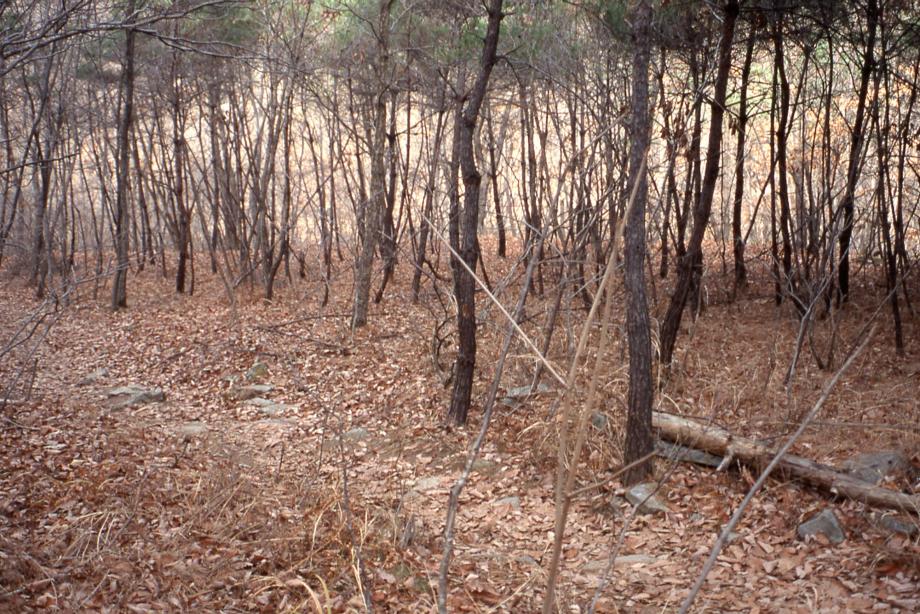 괴산 미륵산성이미지