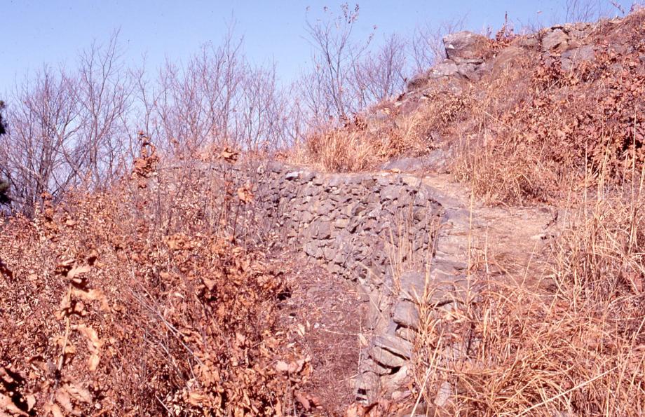 진천 김유신 탄생지와 태실이미지
