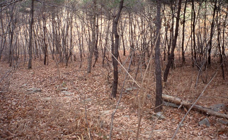 진천 김유신 탄생지와 태실이미지