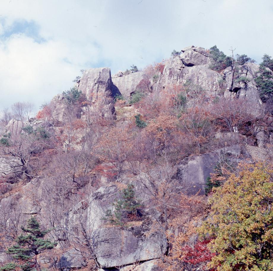 속리산 법주사 일원이미지