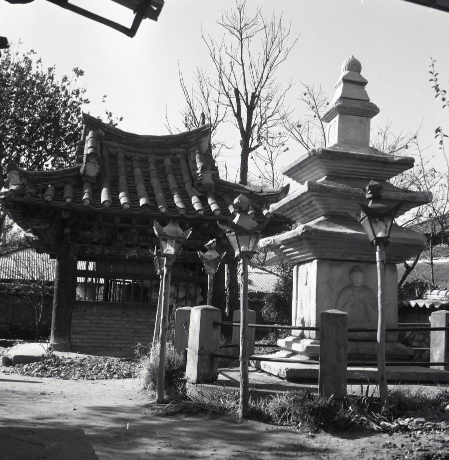 청주 탑동 오층석탑이미지
