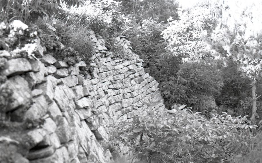 충주 남산성이미지